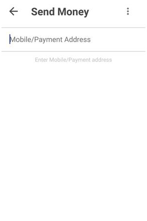 Send Money