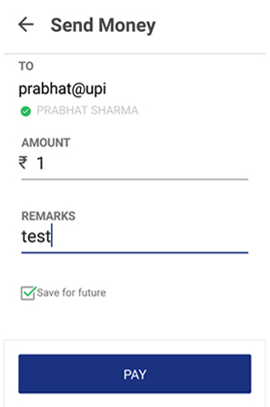 Send Money pay