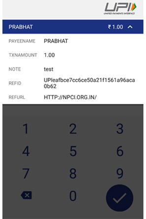 Send Money Detail