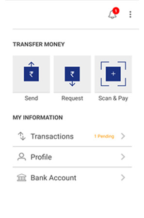 Transfer Money