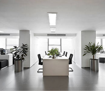 Offices & Branches